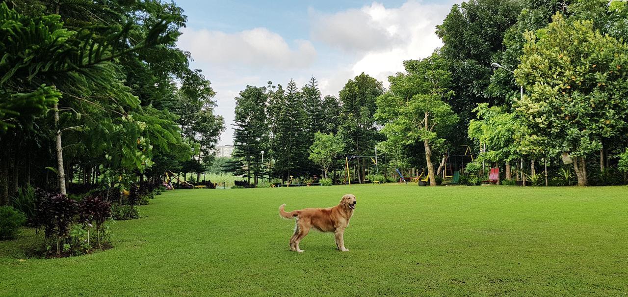 Tagaytay Summer House Tagaytay City Екстериор снимка